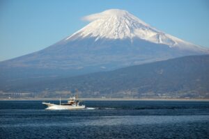 静岡県の医師求人募集マーケットを俯瞰(賀茂医療圏)